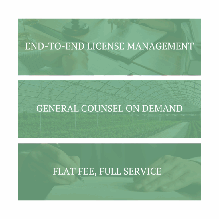 Cannabis compliance consultant reviewing documents with a client at Drivon Consulting – end-to-end license management and legal support