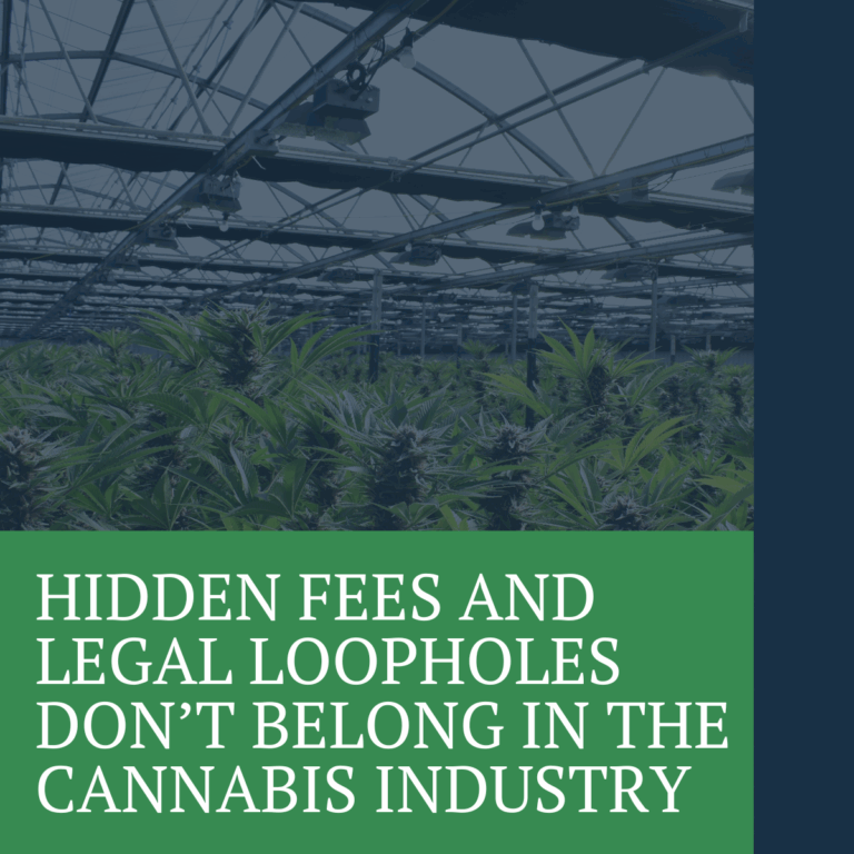 Cannabis hidden loopholes in the industry