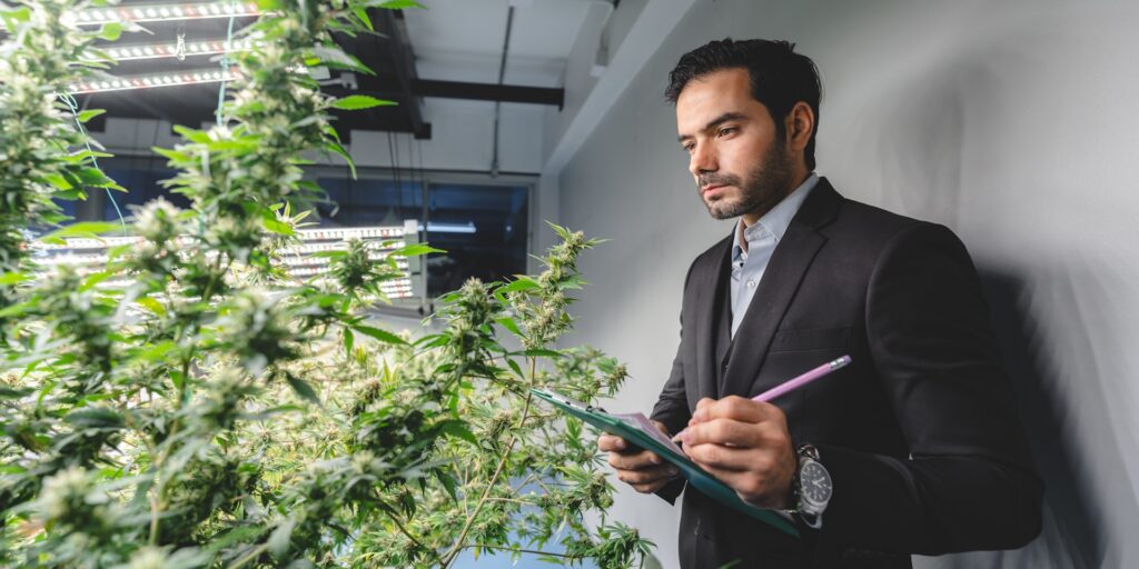 OSHA and Workplace Safety for Cannabis Businesses